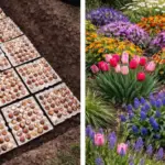 10 Garden Problems Coffee Grounds May Help With