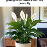 Layer these 3 ingredients into garden beds for this weed-blocking effect