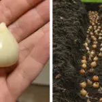 5 Common Medications Doctors Often Approach with Caution for Long-Term Use