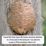 My Wife Kept Our Attic Locked for over 52 Years – When I Learned Why, It Shook Me to My Core