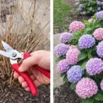 Most people will go their entire life without ever knowing what the thin lines on rear car windows actually do