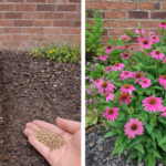 Bad people often ask these 5 questions.