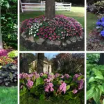 25 Beautiful Plants That Grow Well Under Trees