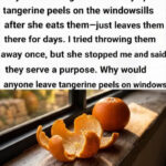 Don’t hire house cleaners until you read this: What I discovered during their first visit.