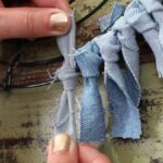 7 Things to Do for Your Snake Plant This March