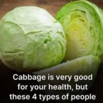 7 Aloe Vera Tasks to Complete Before April