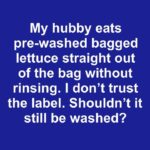 How to Plant Marigolds with Egg Cartons for Neat Flower Beds