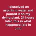 Here’s why you should wrap copper wire around a stick next to your veggies