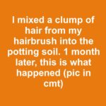 Do You Really Need a Shower Every Day? What Skin Experts Say