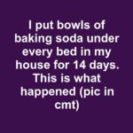 Picked this up at a muddy March flea market for two dollars. It has numbered notches and a rotating top plate, but no obvious way to attach it to anything. What is this thing?