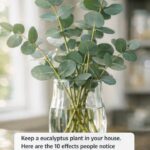 The No-Dig Trick That Turns a Lawn Into a Wildflower Meadow