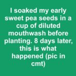 Lady glues 200 river rocks onto cheap plastic bucket. This trend is taking over the internet!