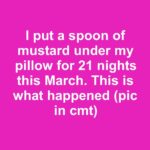 Prune fruit trees at the right moment to boost blooms and fruit later