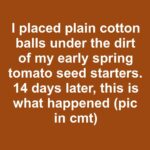 Found in a barn cleanup. It’s a heavy iron tool with a hinge and jagged teeth on the inside curve. It opens and closes but I have no idea what it’s meant to grab.