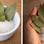 6 Pests That Are Repelled by Lemongrass (and the Best Ways to Use It)