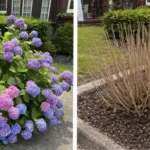 Plant These 11 Flowers in April – They Grow Fast and Bloom Big