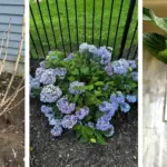 18 Perennial Veggies You Can Plant Once and Harvest For Years