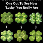 Think twice before tossing these out. 10 brilliant ways to reuse worn bath towels