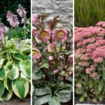 14 Plants to Prune in March for Gorgeous Growth