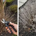 I buried a penny in my garden every morning for 2 weeks. This is what happened