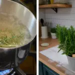 10 Veggies To Grow In Buckets This April