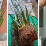 Turn old jeans into pretty front door decor