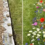 15 Seeds You Should Start Now for May Planting