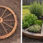 Basil Care in Spring: 6 Tips for Faster Growth and More Leaves