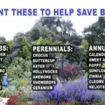 13 Best Vegetables to Grow In Your Spring Garden