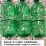 My neighbor taught me this trick to clean green algae off siding with 0 effort. Here’s how it works