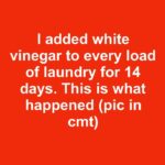 Freeze broken unglazed terra cotta pots and 2 other garden pantry items and this turns into something totally unbelievable!