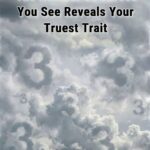 Most People Are Narcissists… Count the Squares