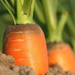 6 zodiac signs that will become rich after March 2026