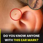 Peace Lily Care in April: 5 Tips for More Blooms Indoors