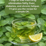 Ginger and Cloves: Powerful Health Benefits, Uses, and How to Make a Healing Infusion