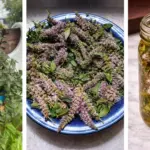 Got A Rosemary Bush? Here’re 20 Brilliant & Unusual Ways To Use All That Rosemary