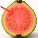 6 zodiac signs that will become rich after March 2026