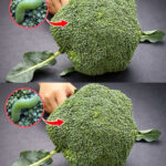 The Day I Took Flowers I Couldn’t Afford… and Received a Kindness I Never Outgrew