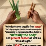 The Midnight Glow Secret: A Simple Way to Help Your Body Stay Fresh