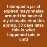This is the first symptom of …