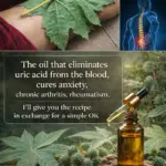 Unlocking Wellness: What Happens When You Eat Two Raw Garlic Cloves a Day