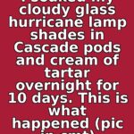 I whipped a freezing cold can of evaporated milk instead of heavy whipping cream. 10 minutes later, this is what happened