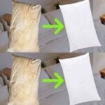 Classic Homemade Dried Beef Recipe Inspired by Traditional Methods (Step-by-Step Guide)