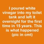 I ran a dishwasher tablet through my empty washing machine for the first time in 10 years. This is what happened