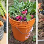 After Losing My Newborn Son, I Gave Everything I’d Bought Him to a Mother Begging with Her Baby – The Next Morning, My Lawn Was Covered with Dozens of Baby Strollers, Each Holding a Sealed Box