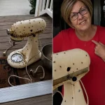 The mystery of the old woman who bought 60 kilos of meat a day: the truth behind an abandoned ship