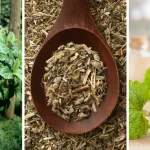 Grow Your Own Ginger From a Store-Bought Root – Here’s How